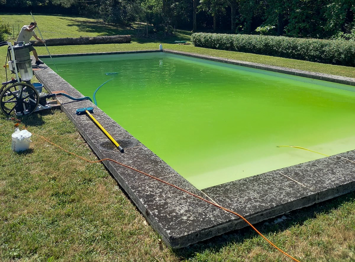 Traitement de l'eau verte piscine - Quality Piscine